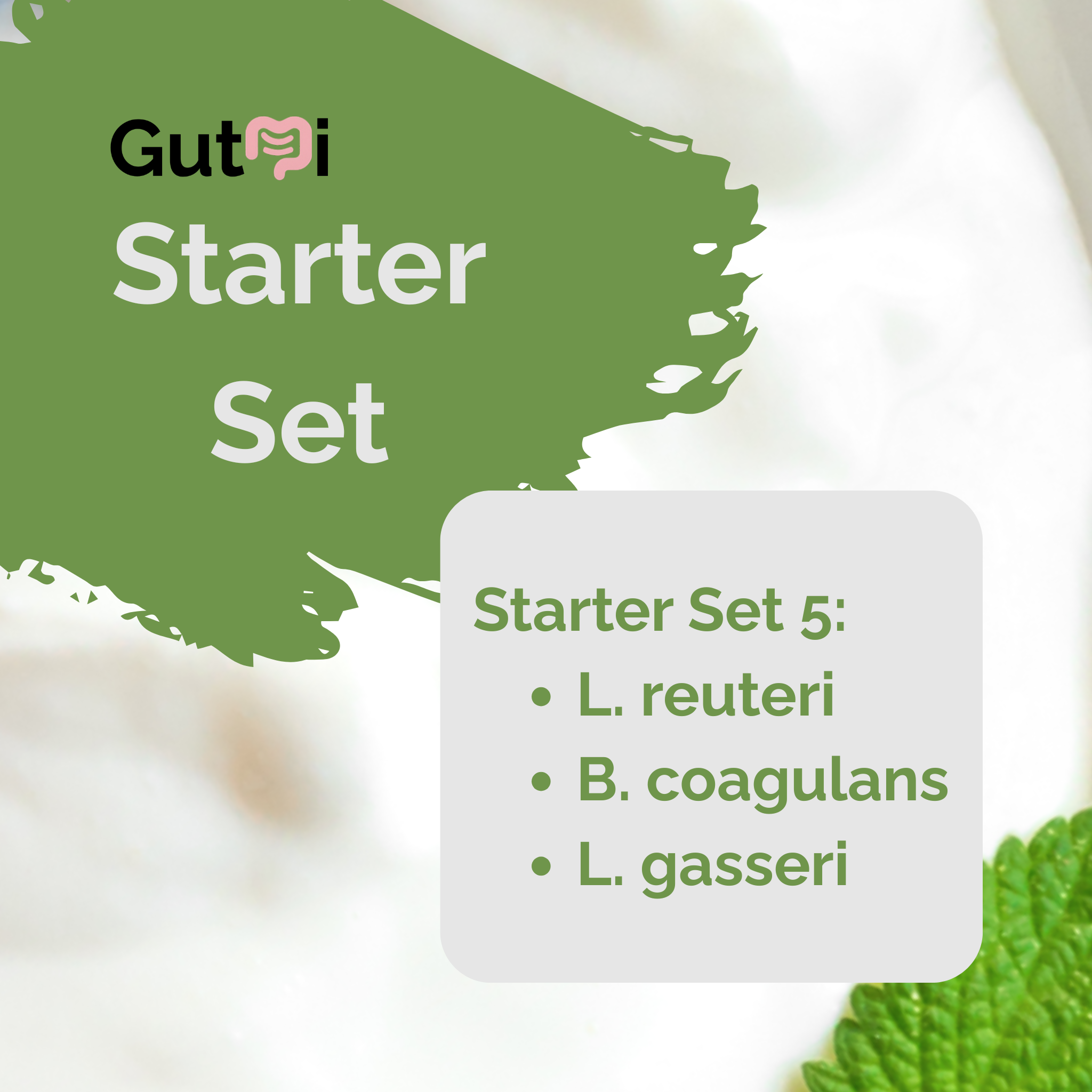 GutMi | L. reuteri + B. coagulans + L. gasseri | Joghurt Starter Set | SIBO-Joghurt nach Dr. Davis | Starterkulturen | 3er Pack