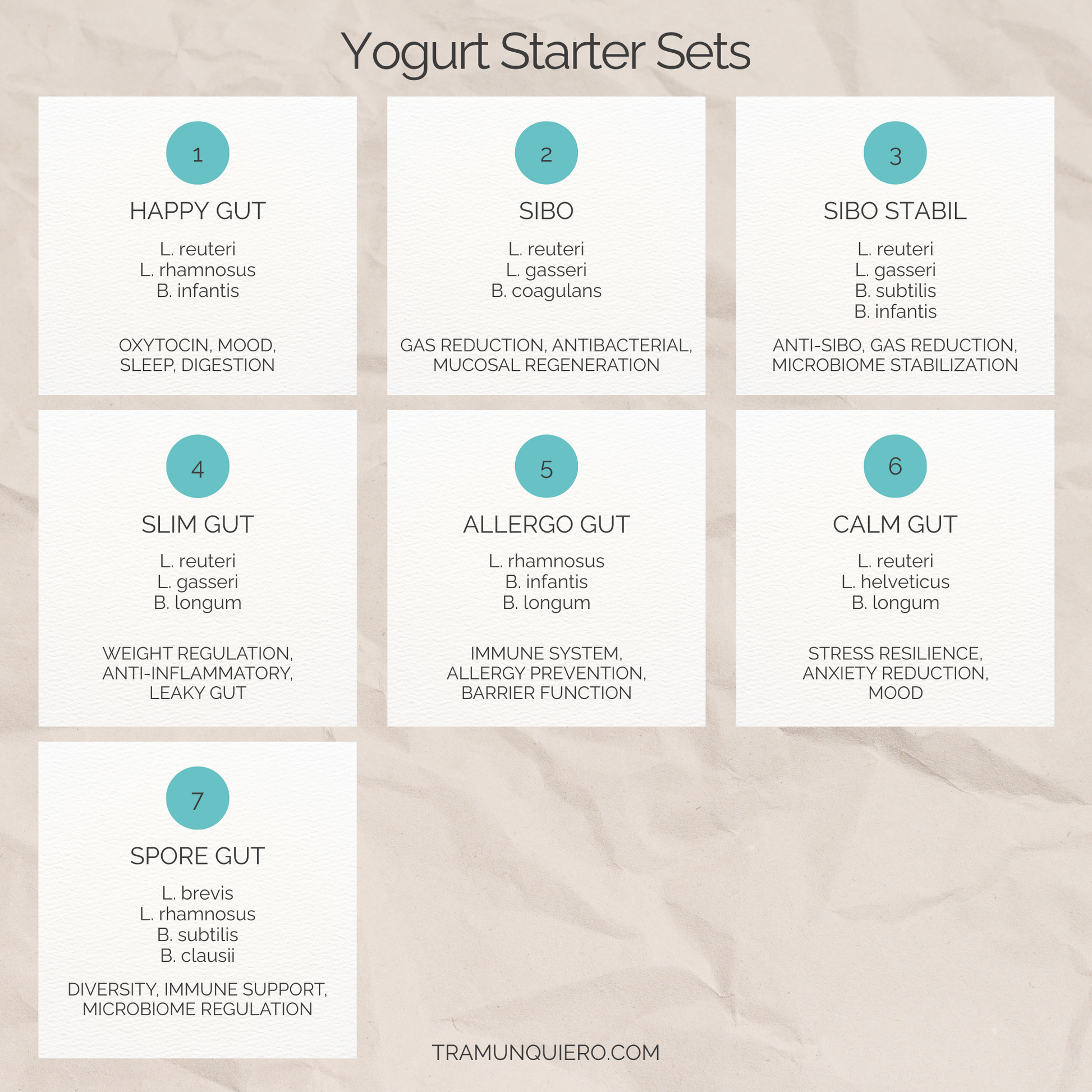 Starter Set "Spore Gut" | L. brevis, L. rhamnosus, B. subtilis, B. clausii-Joghurt